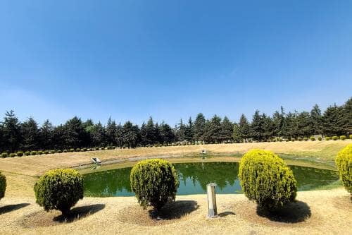 Ayuntamiento de Metepec retira peces muertos de fuente en La Providencia